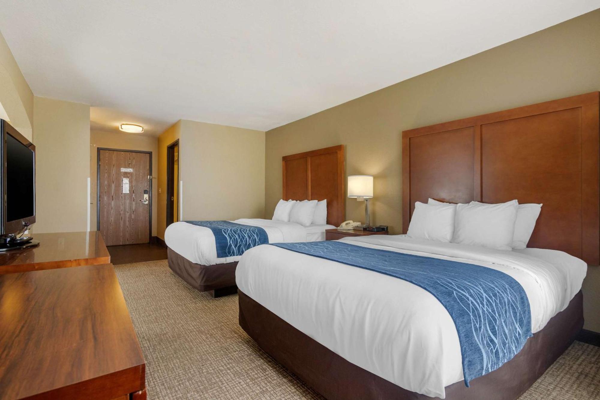 Comfort & Hotel