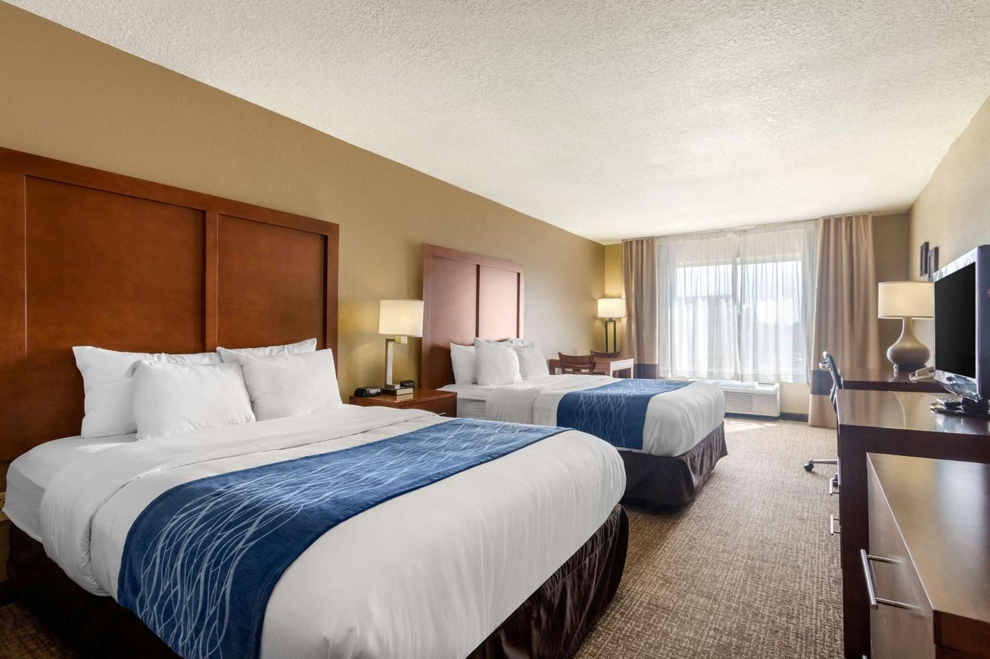 Comfort & Hotel